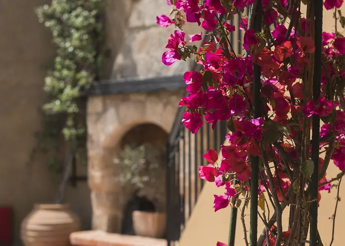 Zacosta Villa - A Heritage Hotel 4*